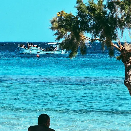 酒店 天堂海滨度假酒店