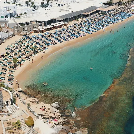 Paradise (adults Only)