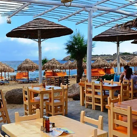 Paradise 2*